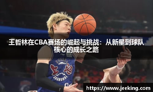 王哲林在CBA赛场的崛起与挑战：从新星到球队核心的成长之路